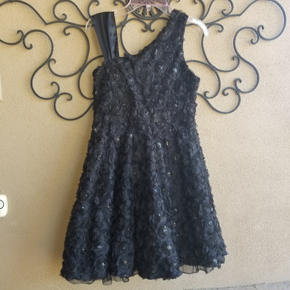 FUN AND FLIRTY 3D ROSETTE DRESS SZ 14 - Picture 2 of 5